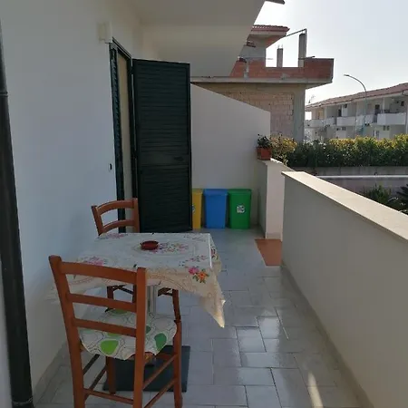 Zao * Tropea